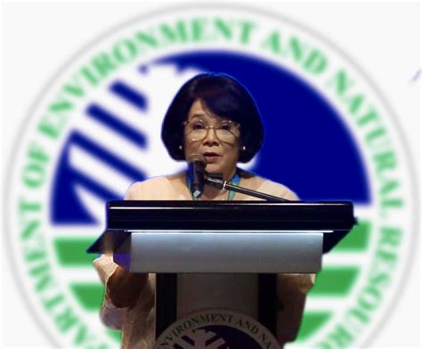 review aregs|‘Until further notice’: DENR chief suspends power of .